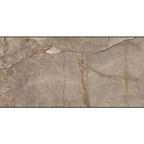 Керамогранит GS PATRIN BROWN (GOLDEN GLOSSY CARVING) 60 х 120